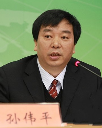 孙伟平